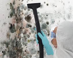 Best Mold Damage Restoration  in Eustace, TX